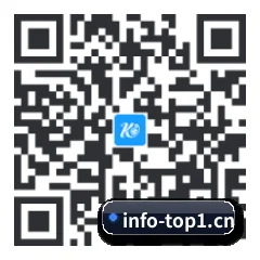 iOS 系统版 二维码（TOP1）